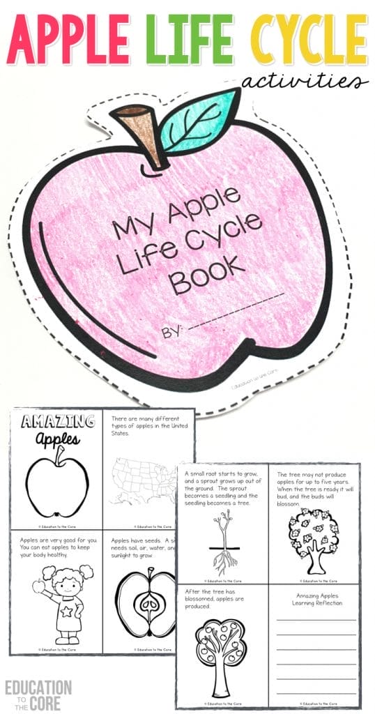 Printables and close read for learning about the life cycle of an apple! Includes engaging math, literacy, and science activities for kindergarten and first grade students!