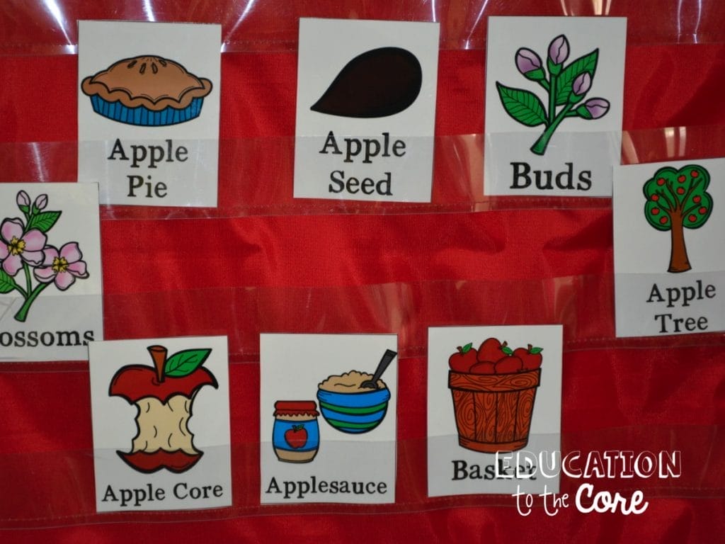These apple life cycle vocabulary cards were a great discussion and reference point throughout the week. They also helped to guide my little readers along with their close read!