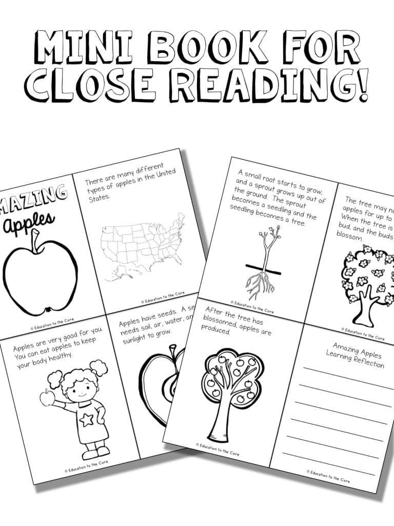 Apple Mini Book for Close Reading