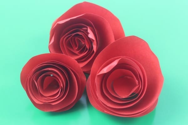 Simple Roses from Mum in the Mad House