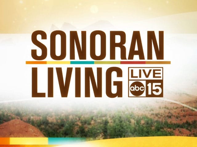 Getting Your Children into Back to School Mode: Sonoran Living Live ABC 15