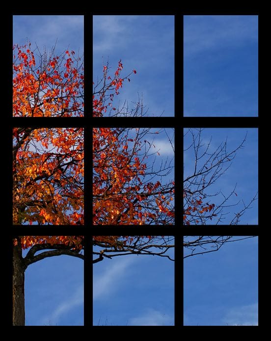 Close Reading: Unlocking the Layers of Text