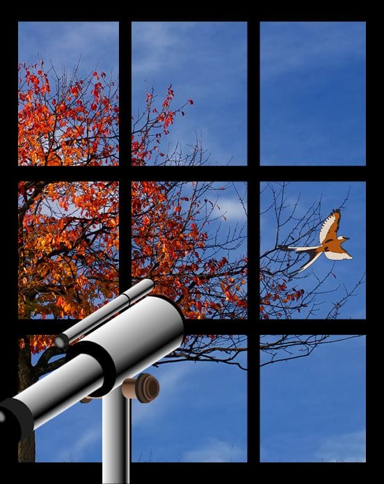 Close Reading: Unlocking the Layers of Text