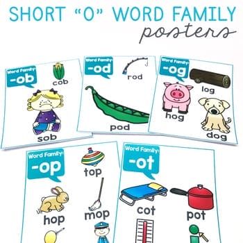 Word Family Posters | Education to the Core