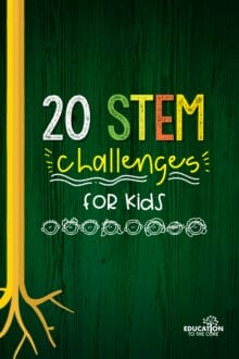 problem solving stem challenge